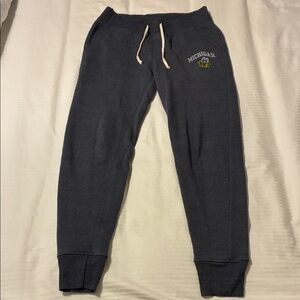 Alternative Apparel Navy Joggers with Michigan Logo